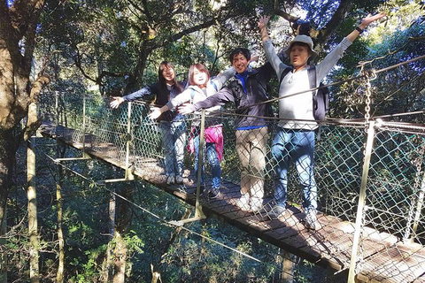 Exclusive Private Tour - Design Your Own - Taree Accommodation 5