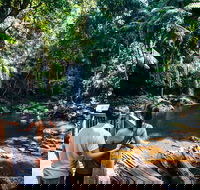 Aquaduck  Your choice of Gold Coast Rainforest Tour - Taree Accommodation