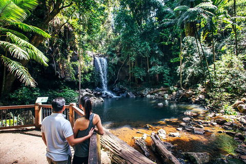 Aquaduck & Your Choice Of Gold Coast Rainforest Tour - Taree Accommodation 0