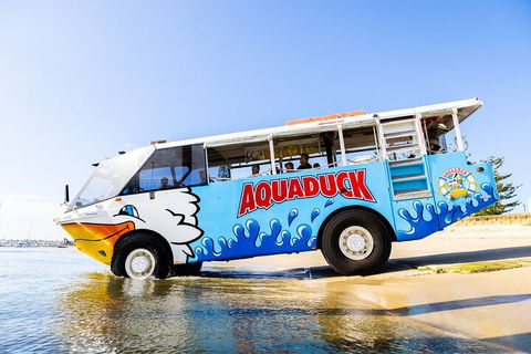 Aquaduck & Your Choice Of Gold Coast Rainforest Tour - Taree Accommodation 3