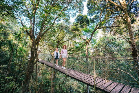 Aquaduck & Your Choice Of Gold Coast Rainforest Tour - Taree Accommodation 4