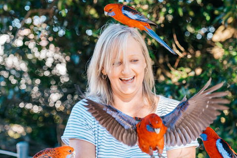 Aquaduck & Your Choice Of Gold Coast Rainforest Tour - Taree Accommodation 5