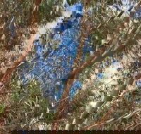 Kangaroo Island 4WD Tour - Best of KI in 2 Days - Taree Accommodation