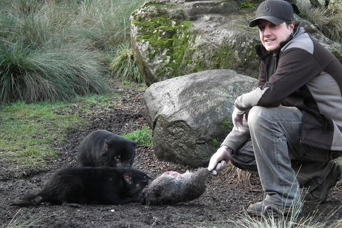 After Dark Tasmanian Devil Feeding Tour At Cradle Mountain - Taree Accommodation 2