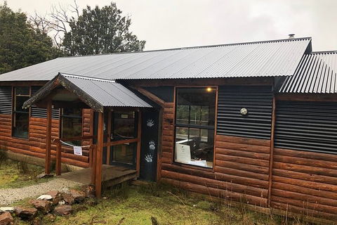 After Dark Tasmanian Devil Feeding Tour At Cradle Mountain - Taree Accommodation 3