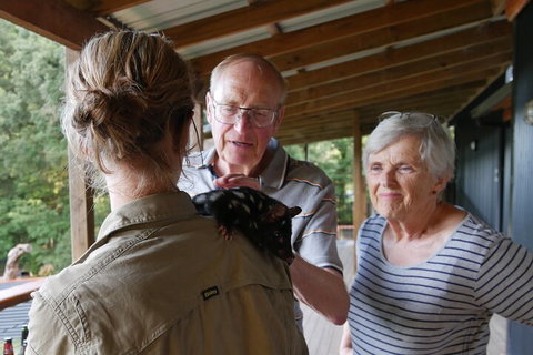 Sunset Experience - Taree Accommodation 1