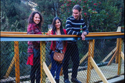 Sunset Experience - Taree Accommodation 2