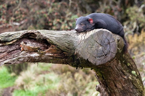 Day Keeper Tour - Taree Accommodation 0