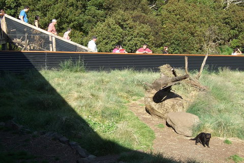 Day Keeper Tour - Taree Accommodation 2