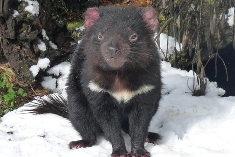 Day Keeper Tour - Taree Accommodation 4