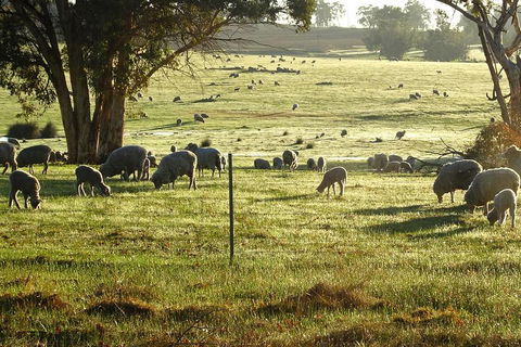 The Big Wave Rock (Private) Day Tour - Taree Accommodation 1