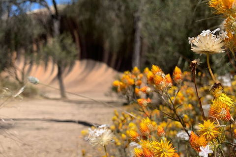 The Big Wave Rock (Private) Day Tour - Taree Accommodation 3