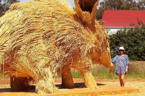 The Big Wave Rock (Private) Day Tour - Taree Accommodation 5