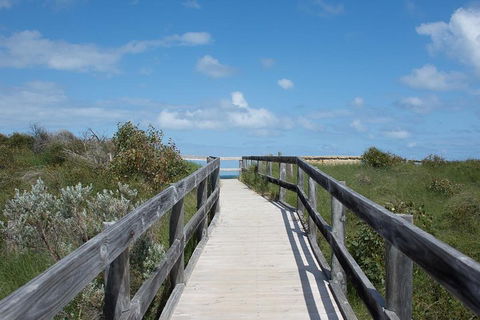 Yanchep & Lancelin - Wildlife, Cave And Sands - Taree Accommodation 2