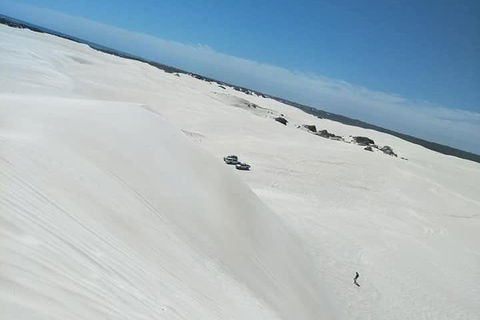 Yanchep & Lancelin - Wildlife, Cave And Sands - Taree Accommodation 3