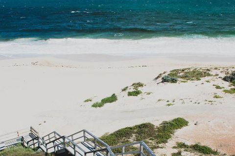 Yanchep & Lancelin - Wildlife, Cave And Sands - Taree Accommodation 5