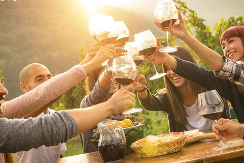 Yarra Valley, Dandenong Ranges Inc. Lunch With Wine,plus Morning Tea,chocolate - Taree Accommodation 4