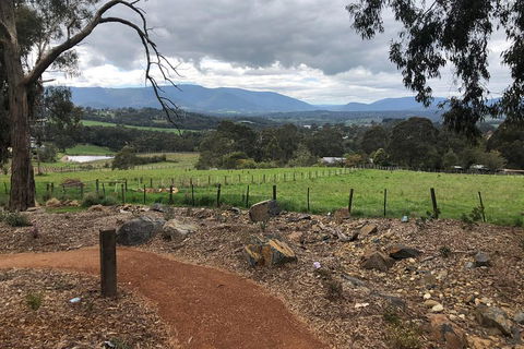 Yarra Valley Wine Tour Inc Lunch With A Glass Of Wine, Tastings And Chocolate - Taree Accommodation 0
