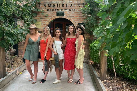 A Full Day Hunter Valley Wine Tasting Tour With Lunch And Tasting Fee's Included - Taree Accommodation 4