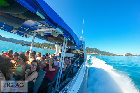 Whitehaven Beach Day Tour With Snorkel In Whitsundays Island - Taree Accommodation 0