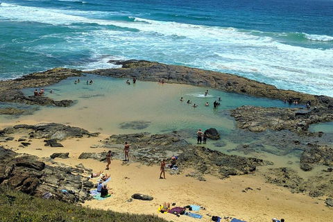 Pippies 3 Days 2 Nights Fraser Island Tour - Taree Accommodation 5