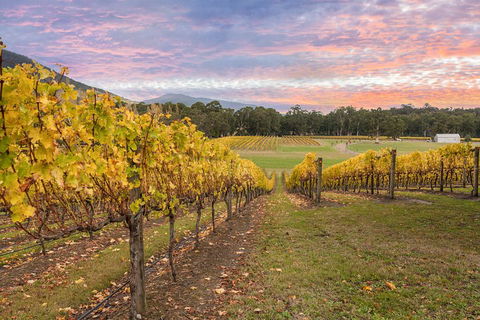 Yarra Valley Boutique Winery Tour From Melbourne - Taree Accommodation 3