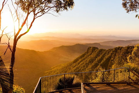 O'Reilly's & Lamington National Park Incl. Alpaca Farm + Vineyard - Taree Accommodation 0