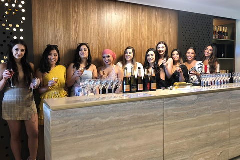 Yarra Valley Public Winery Tours - Taree Accommodation 0