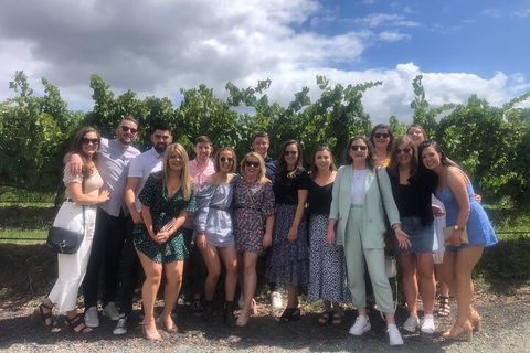 Yarra Valley Public Winery Tours - Taree Accommodation 3