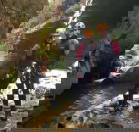 Blue Mountains Empress Canyon Adventure from Wentworth Falls - Taree Accommodation