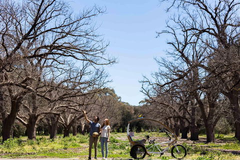 Adelaide 90-Minute Pedicab Tour: Scenic Green & River Experience - Taree Accommodation 1
