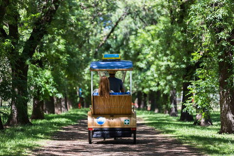 Adelaide 90-Minute Pedicab Tour: Scenic Green & River Experience - Taree Accommodation 2