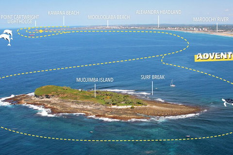 1.5HR Mudjimba Island Wildlife Safari - Taree Accommodation 1