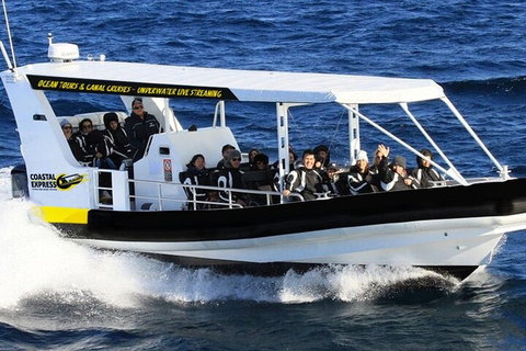 1.5HR Mudjimba Island Wildlife Safari - Taree Accommodation 2