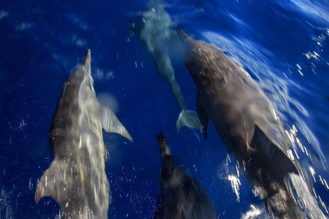 1.5HR Mudjimba Island Wildlife Safari - Taree Accommodation 3