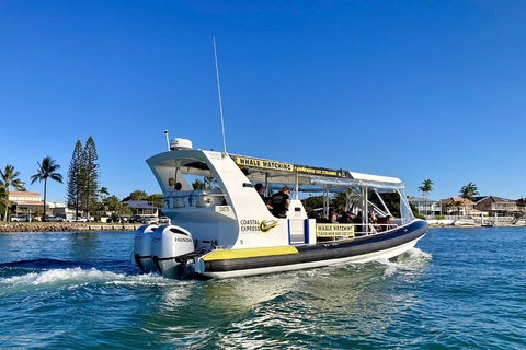 1.5HR Mudjimba Island Wildlife Safari - Taree Accommodation 4