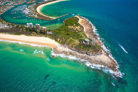 1.5HR Mudjimba Island Wildlife Safari - Taree Accommodation 5