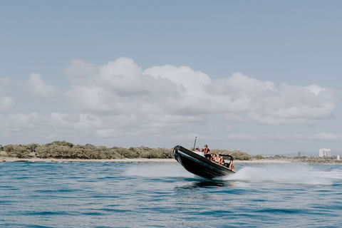 Adventure Rafting - Taree Accommodation 3
