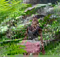 Full-Day Guided Hinterland Adventure Tour in Queensland - Taree Accommodation