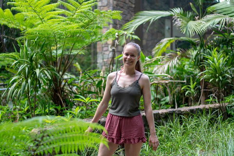 Full-Day Guided Hinterland Adventure Tour In Queensland - Taree Accommodation 0