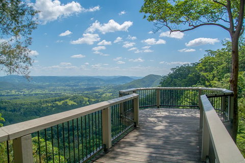 Full-Day Guided Hinterland Adventure Tour In Queensland - Taree Accommodation 2