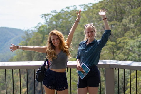 Full-Day Guided Hinterland Adventure Tour In Queensland - Taree Accommodation 3