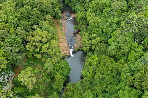 Full-Day Guided Hinterland Adventure Tour In Queensland - Taree Accommodation 4