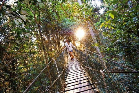 O'Reilly's & Lamington National Park From Brisbane - Taree Accommodation 5