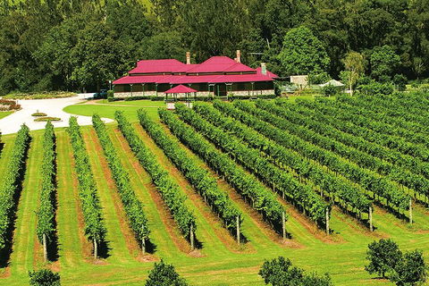 O'Reilly's & Lamington National Park From Gold Coast - Taree Accommodation 2