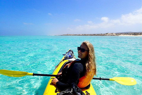 Lagoon Explorer - Ningaloo Reef Full-Day Kayaking And Snorkeling Adventure - Taree Accommodation 1