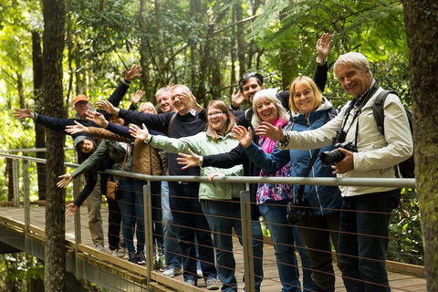 All Inclusive Blue Mountains Small-Group Day Trip From Sydney - Taree Accommodation 5