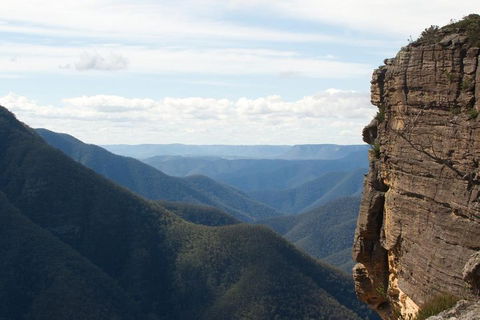 Inside The Greater Blue Mountains World Heritage - A Private Wildlife Safari Overnight - Taree Accommodation 4