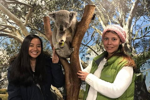 Australia Multi-City Attractions Pass - Taree Accommodation 3