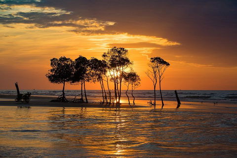 Delightful Darwin Self-Guided Audio Tour - Taree Accommodation 3